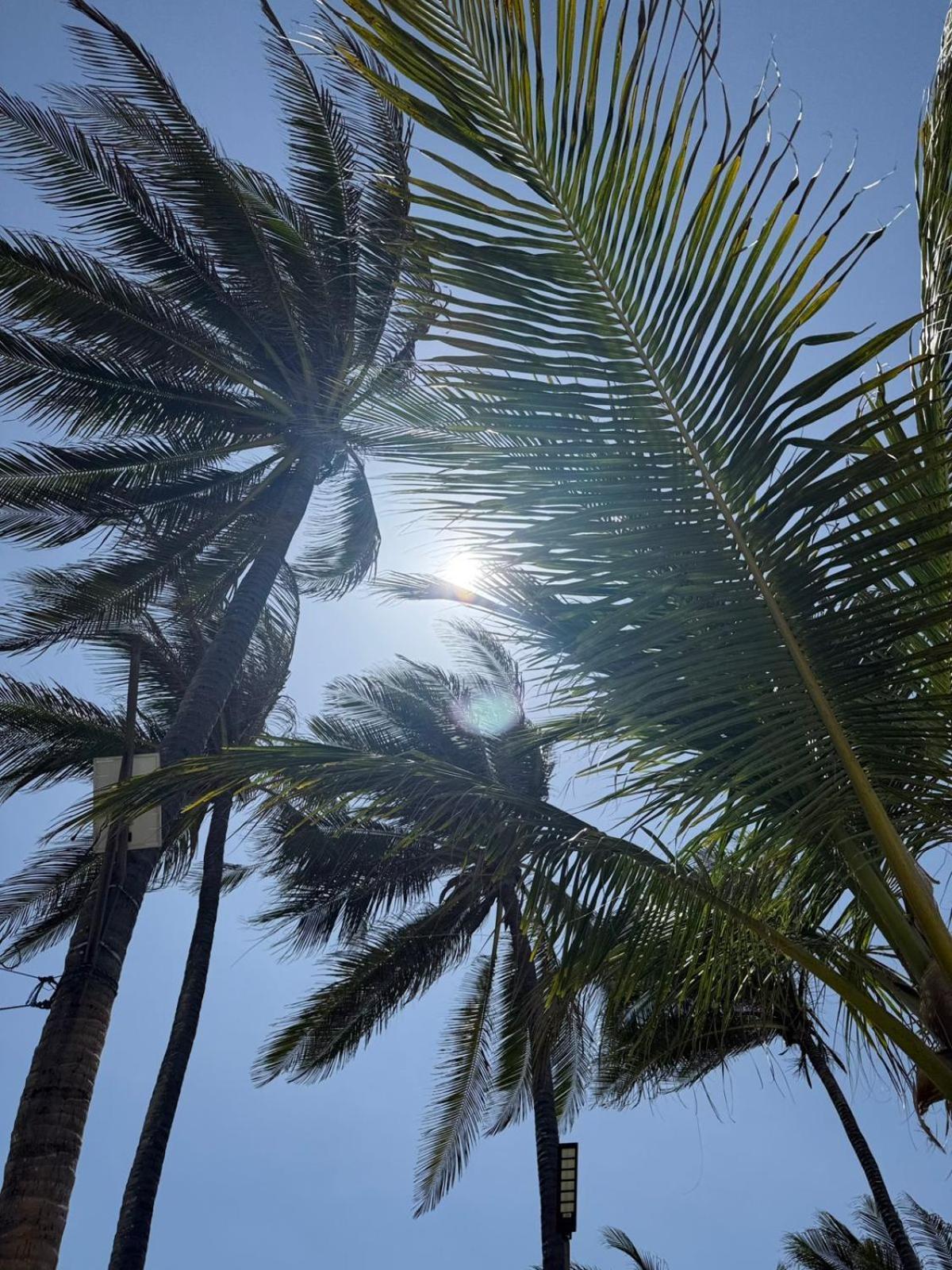 Playa Palmeras Beach Resort Cartagena Luaran gambar